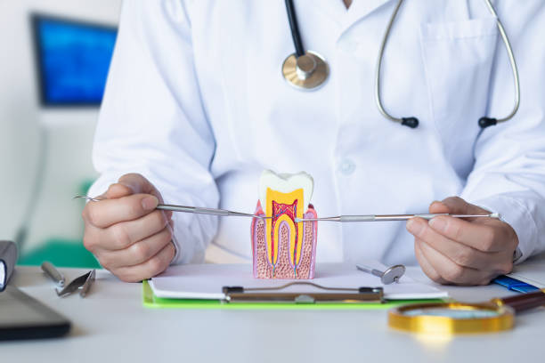 Best Dental Abscess Treatment in Eureka Springs, AR